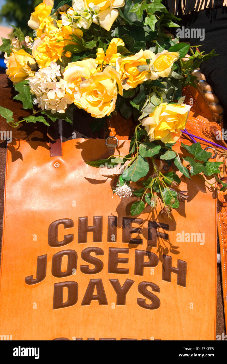 Chief Joseph Days saddle, St Paul Rodeo Parade, St Paul, Oregon Stock