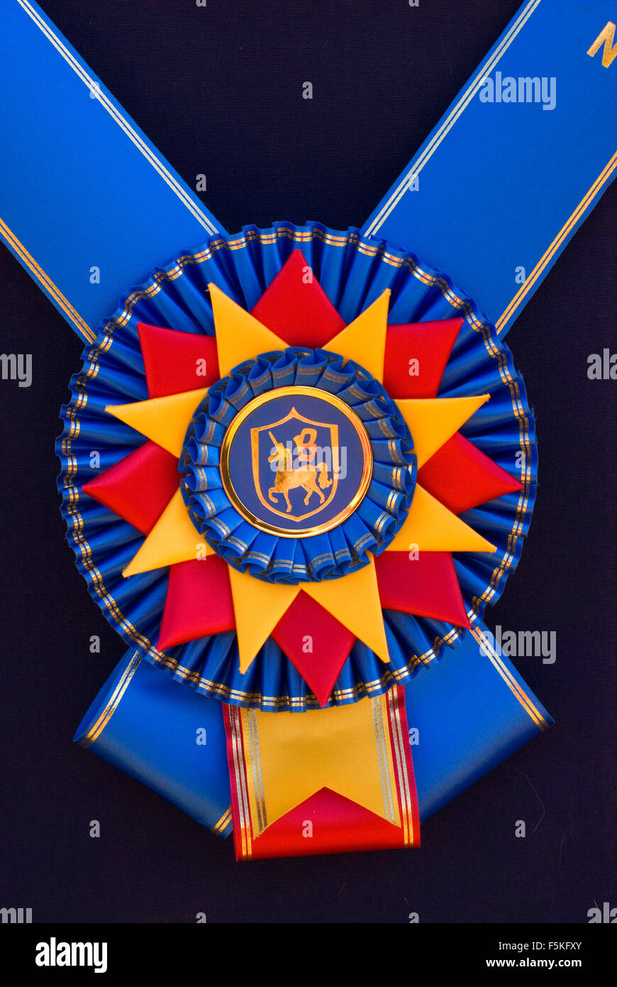 Ribbon, Brawley Farms Summer Classic Horse Show, Jefferson, Oregon