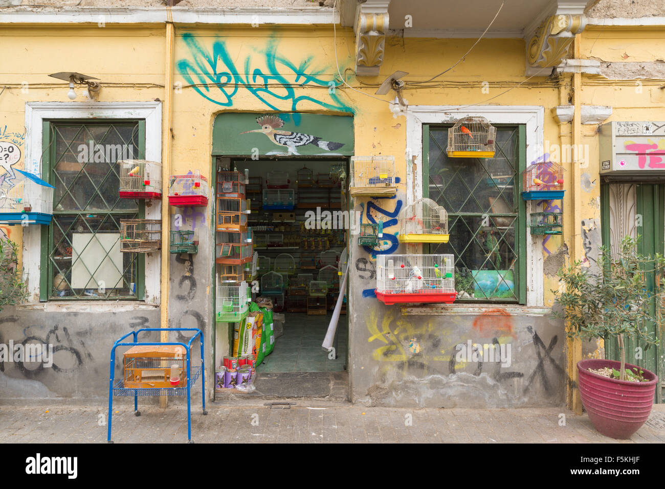 ATHENS, GREECE - OCTOBER 31, 2015: A pet store, preferably birds in the Plaka Stock Photo