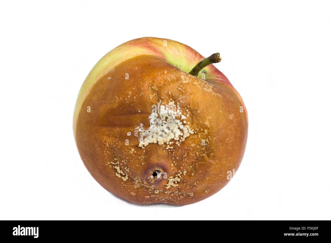 Rotten apple Stock Photo