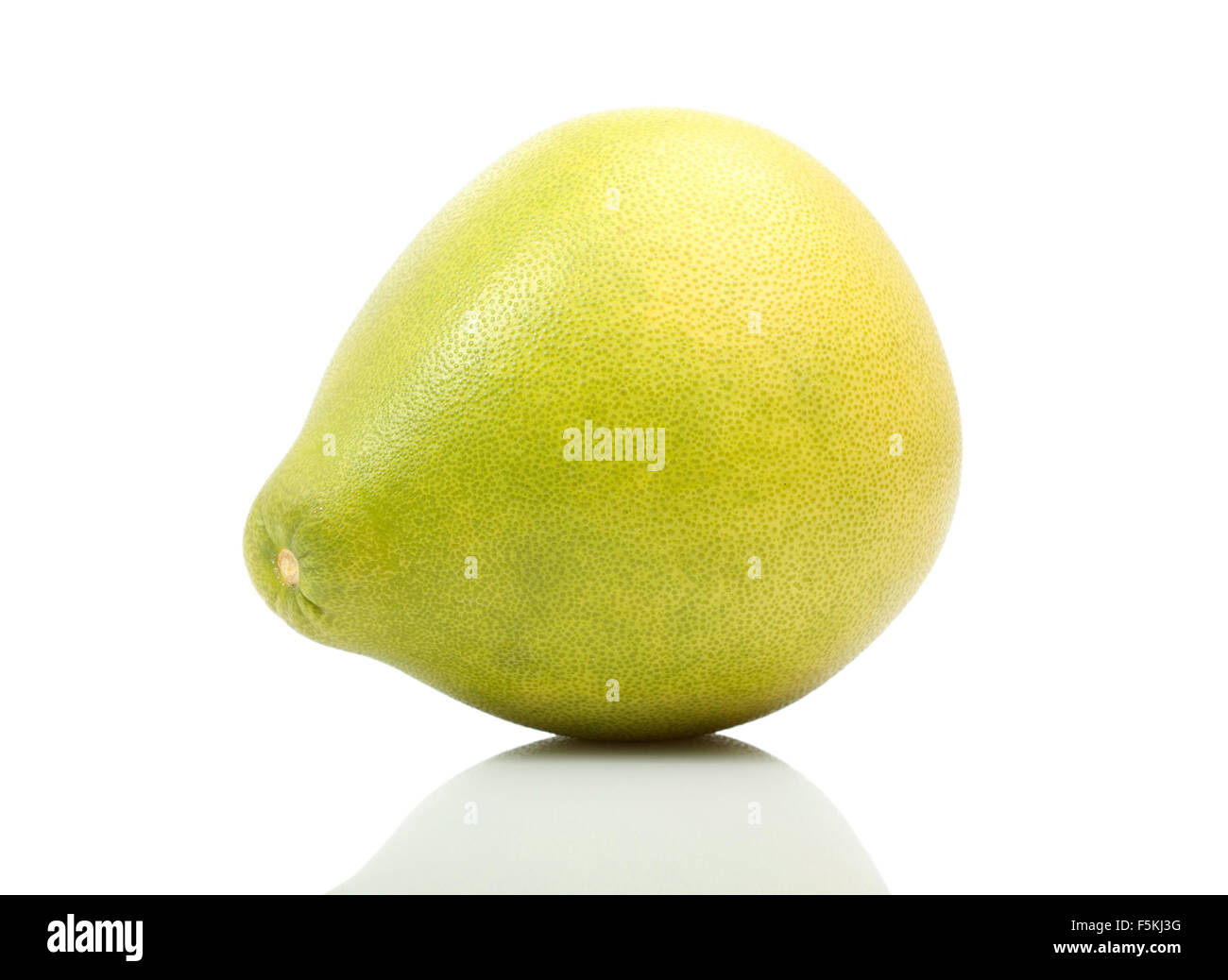 Citrus fruit big grapefruit. Pummelo, Pomelo, Shaddock, Pommelo