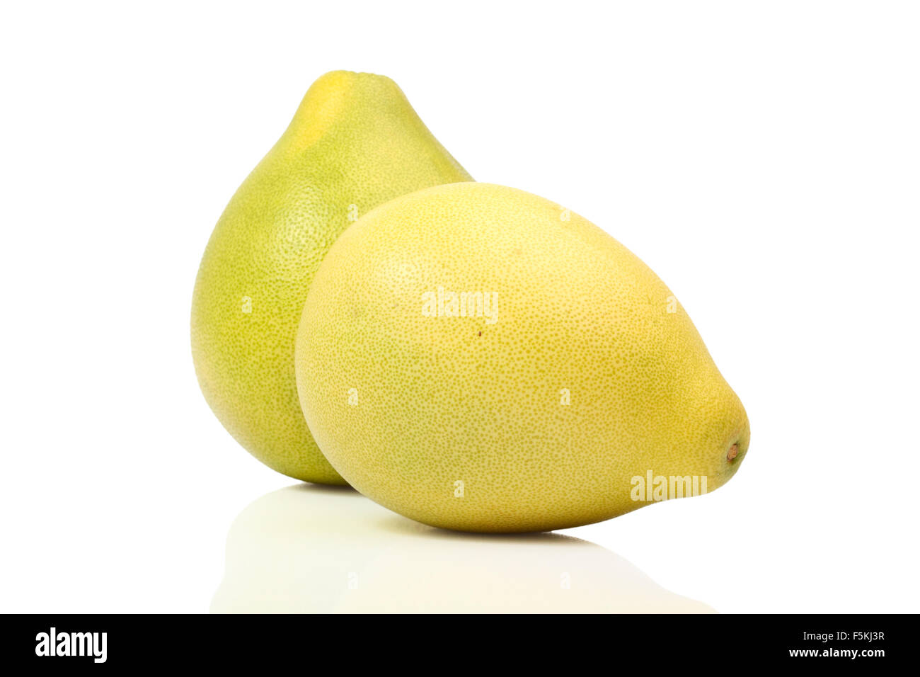 Citrus fruit big grapefruit. Pummelo, Pomelo, Shaddock, Pommelo