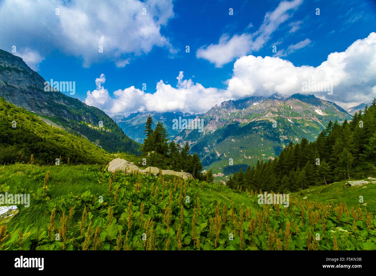 pasture-stivello-hi-res-stock-photography-and-images-alamy