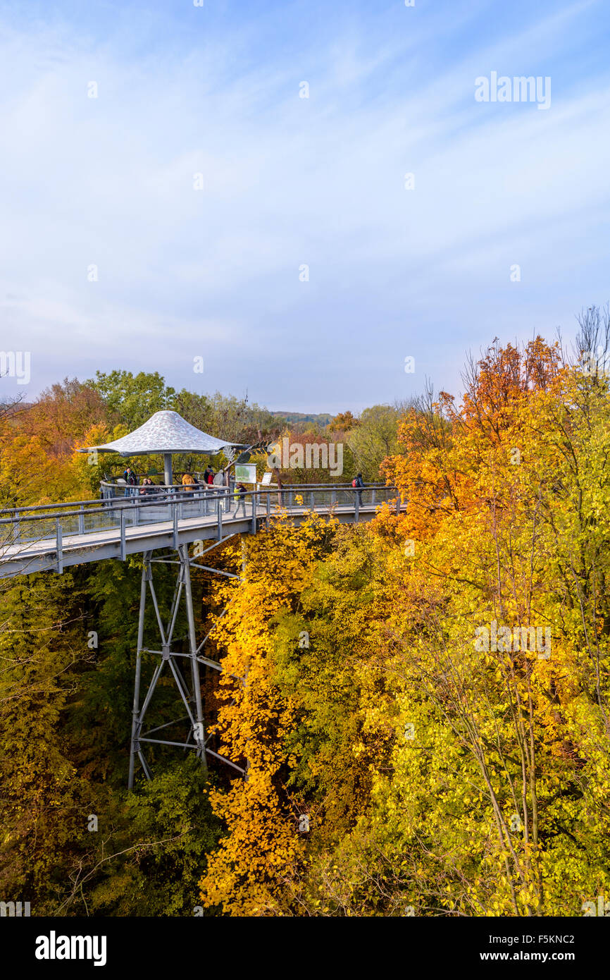 Treetop walkway in Hainich National Park, Thuringia, Germany Stock Photo