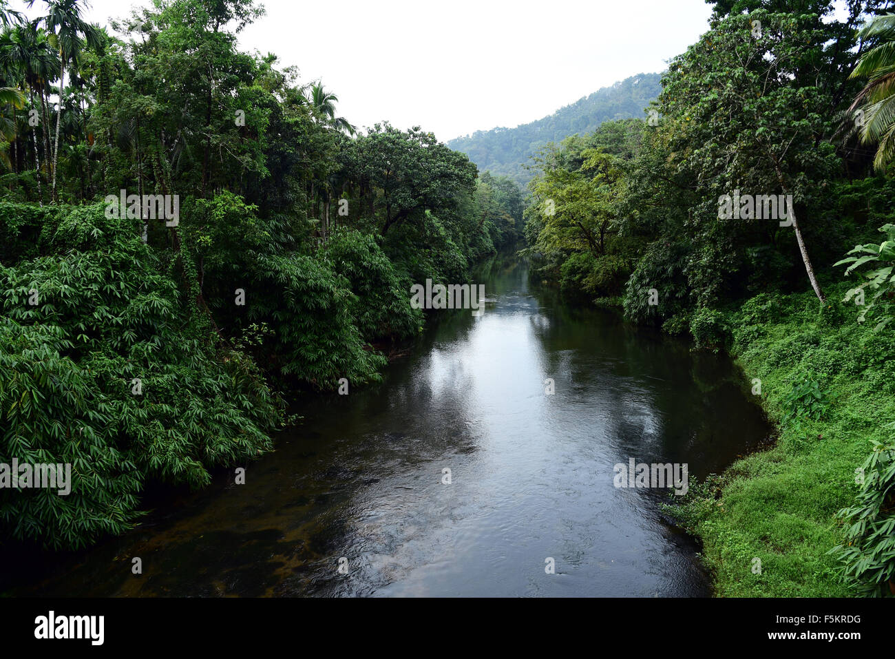 Athirappilly athirapally falls on chalakudy chalakkudi river at vazhachal forest ; Trichur Thrissur ; Kerala ; India Stock Photo