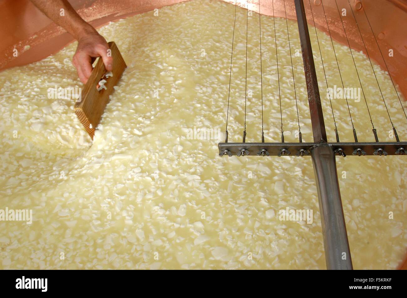 Agordino cheese, malga production of traditional cheese - Laste di Rocca Pietore,  Agordino, Belluno, Veneto, Italy    Credit © Stock Photo