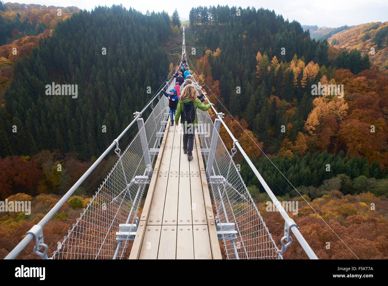 hanging rope bridge Geierlay,Mörsdorf,Hunsrück,SaarHunsrückSteig