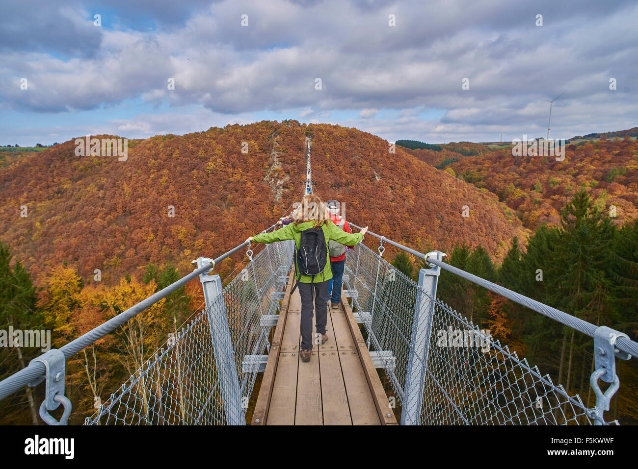 hanging rope bridge Geierlay,Mörsdorf,Hunsrück,Saar-Hunsrück-Steig ...