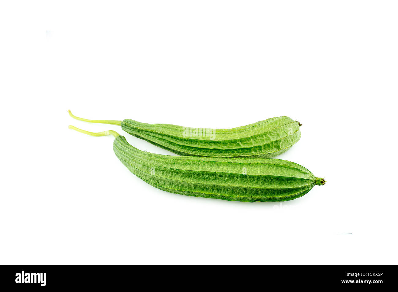 Fresh mature angled luffa vegetables isolated against white background Stock Photo