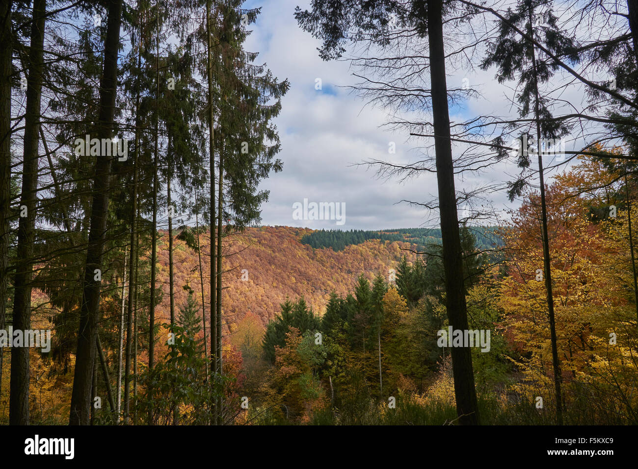 Saar hunsruck steig hi-res stock photography and images - Alamy