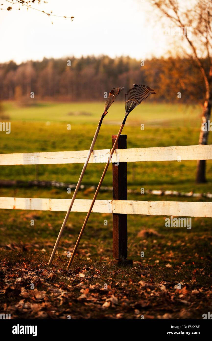 Wood rakes hi-res stock photography and images - Alamy