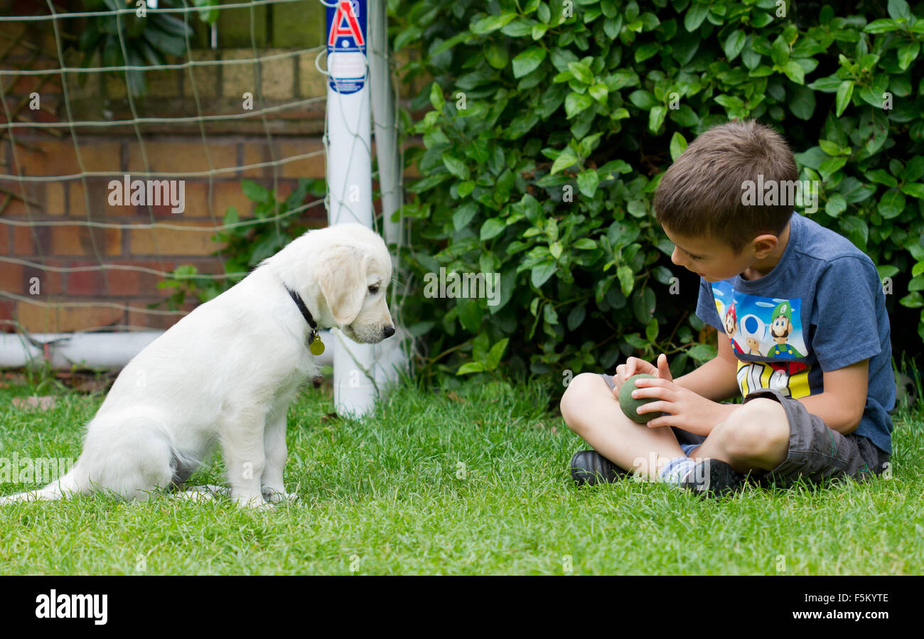 Children introducing a new puppy to a home stock photo alamy