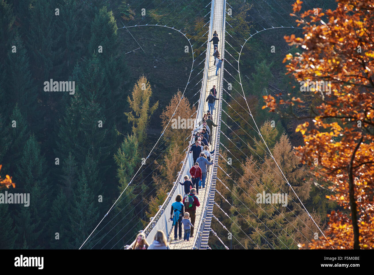 hanging rope bridge Geierlay,Mörsdorf,Hunsrück,Saar-Hunsrück-Steig ...
