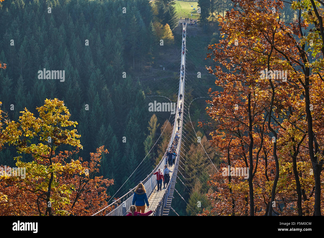 hanging rope bridge Geierlay,Mörsdorf,Hunsrück,Saar-Hunsrück-Steig ...