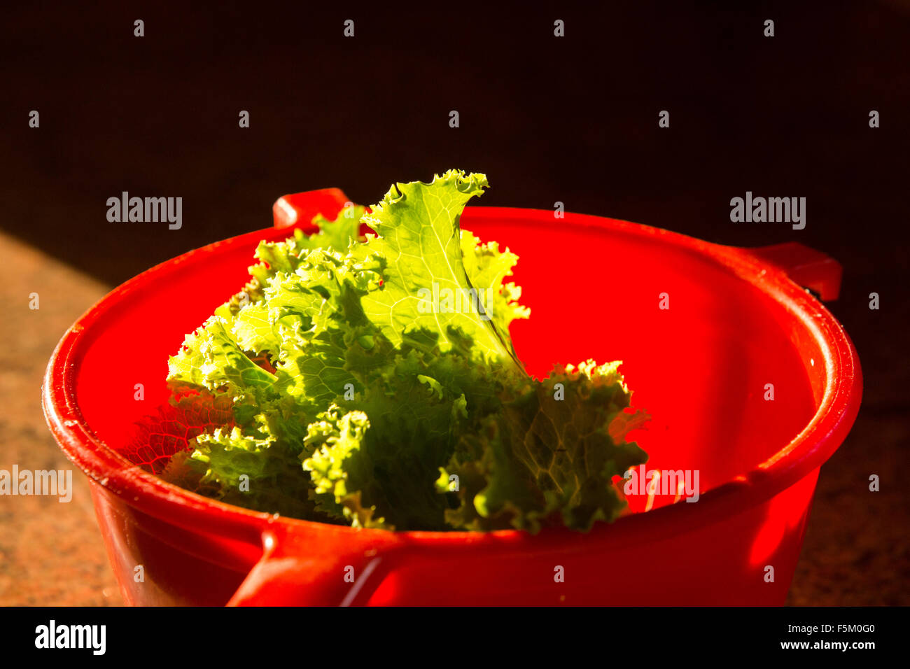Culender hi-res stock photography and images - Alamy