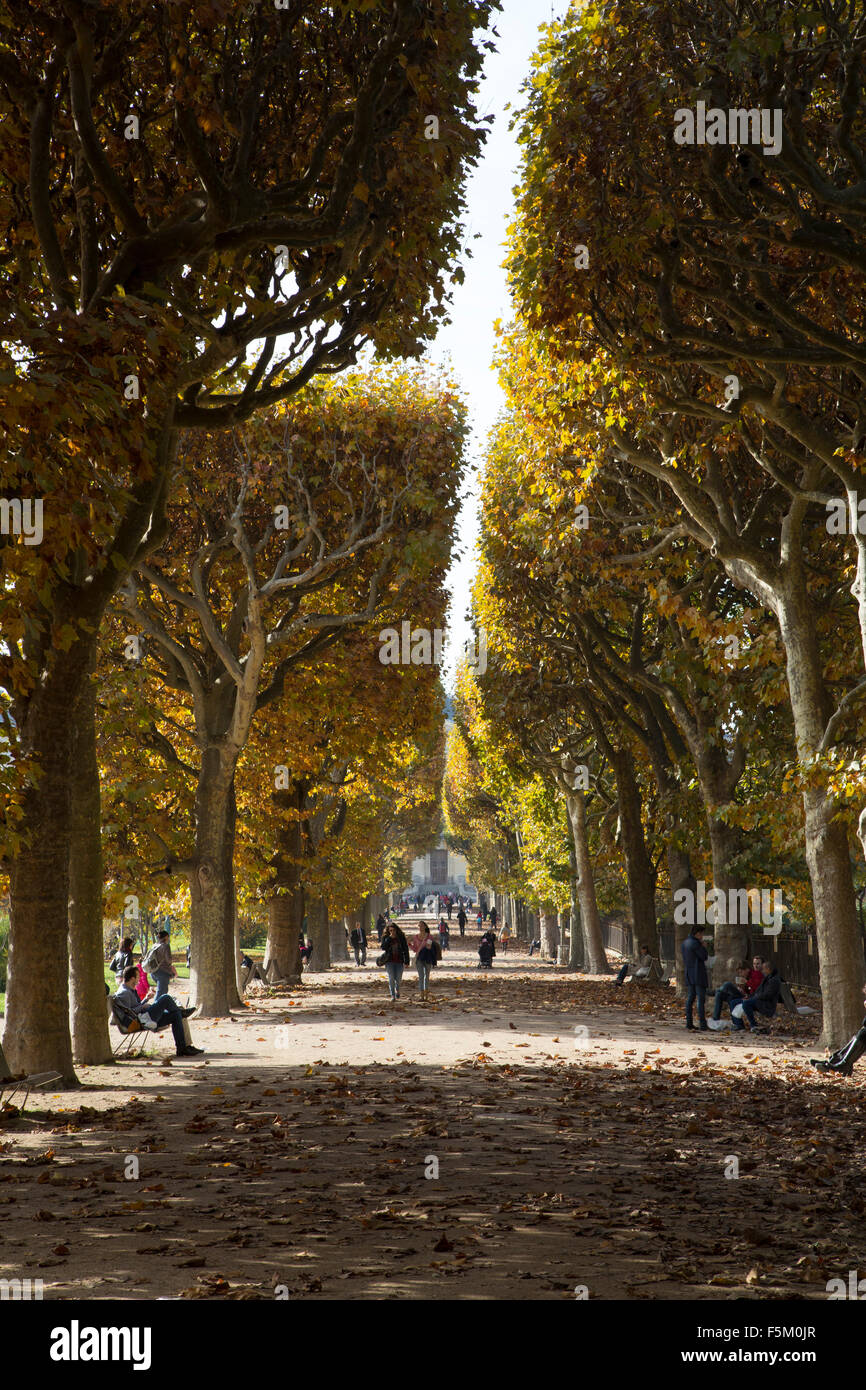 view of jardin du luxembourg in autumn Stock Photo