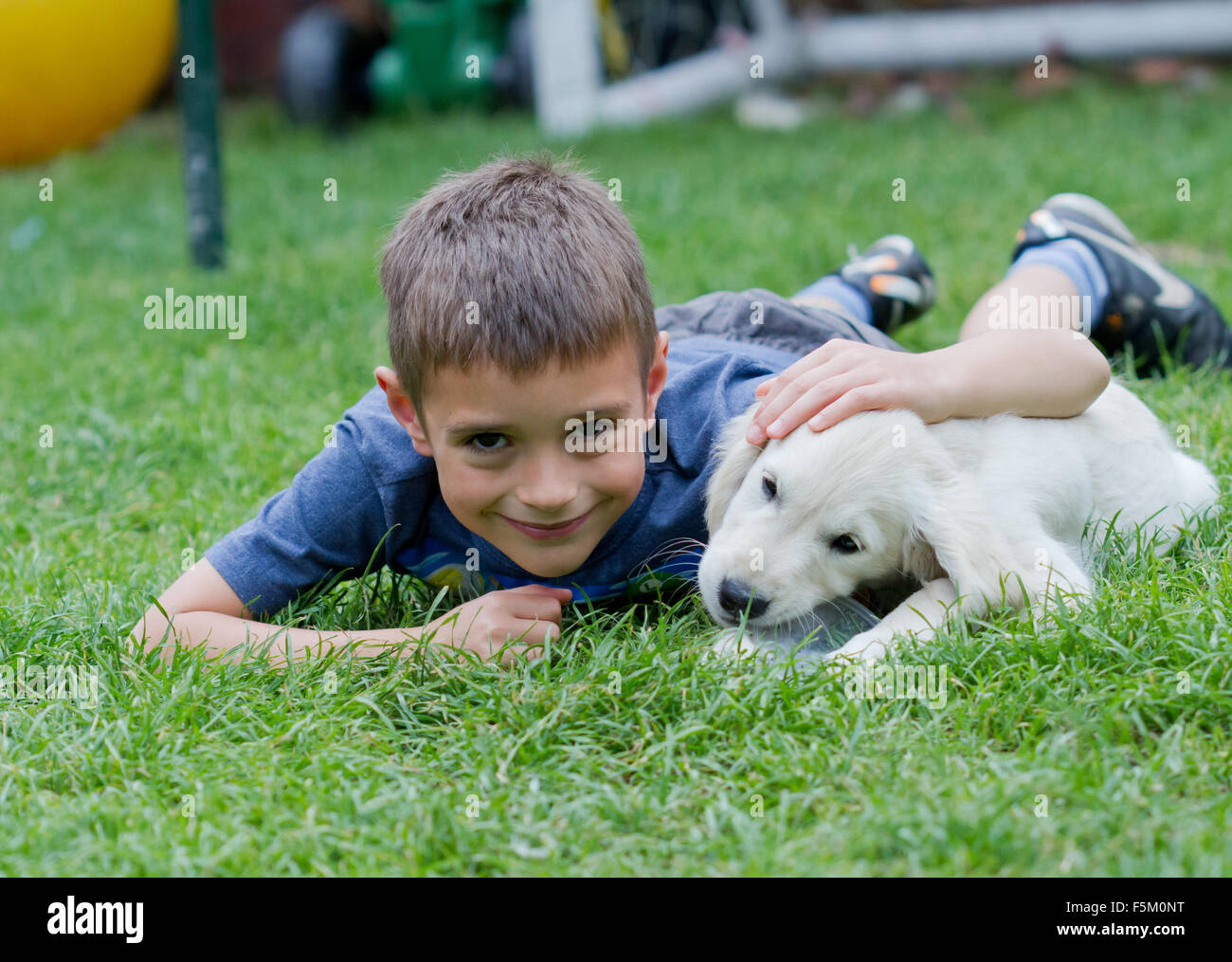 Children introducing a new puppy to a home stock photo alamy
