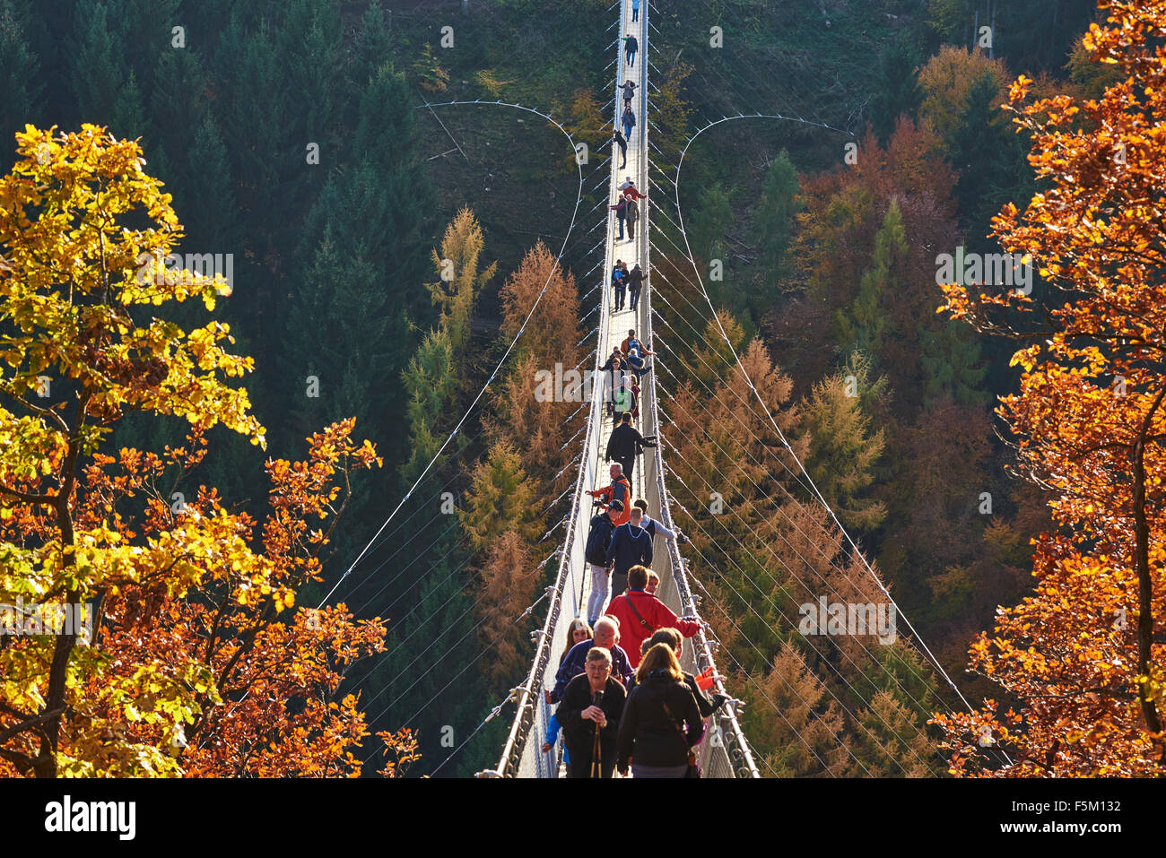 hanging rope bridge Geierlay,Mörsdorf,Hunsrück,Saar-Hunsrück-Steig ...