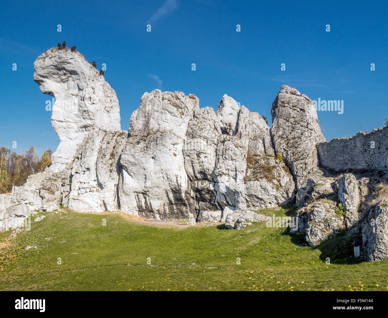 Lime rock outlier formation one of many that can be found in the Krakow-Czestochowa Upland also known as Polish Jurasic Highland Stock Photo
