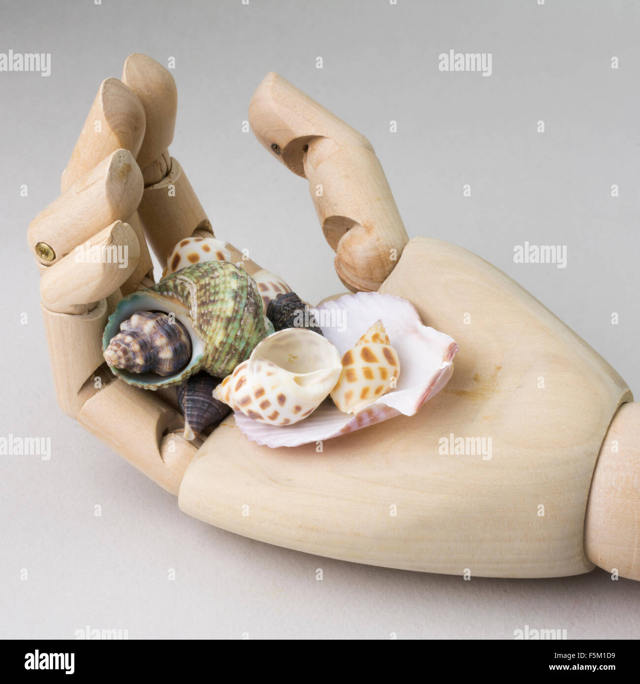 Small Seashells in a wooden Mannequin hand Stock Photo