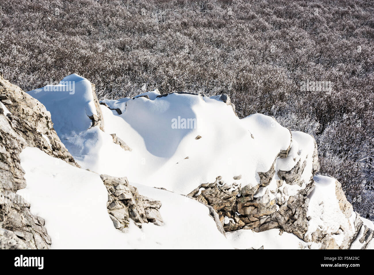 Snowy rocks and forest. Winter nature. White landscape Stock Photo - Alamy