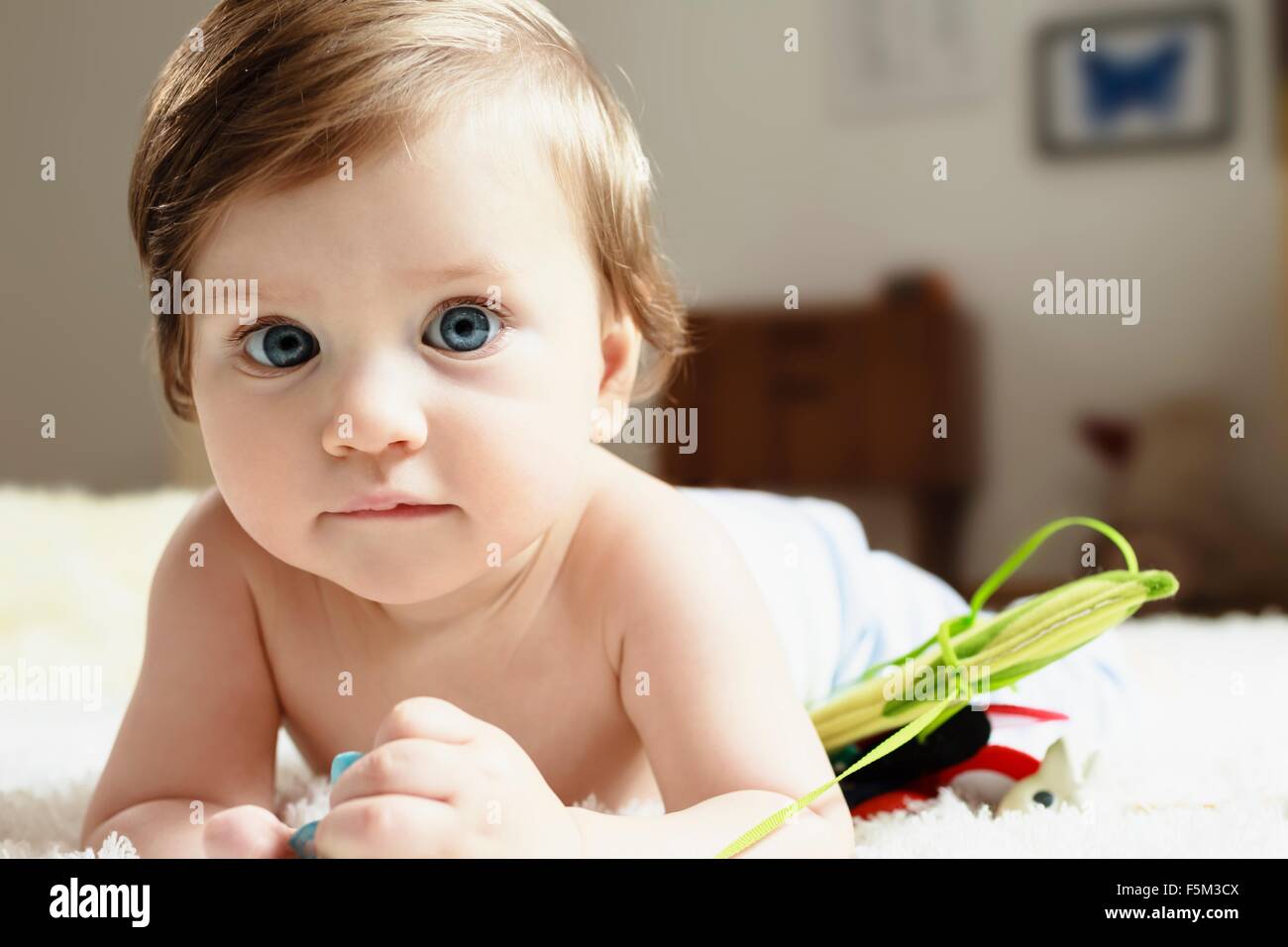 Portrait of a baby boy, lying on front, looking at camera Stock Photo
