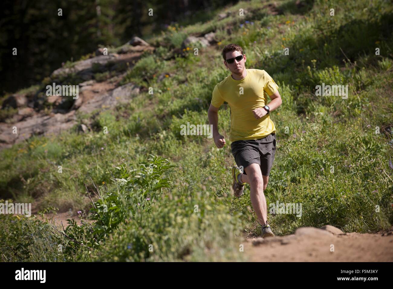 Runner on Bloods Lake trail near Guardsman Pass, Wasatch Mountains, Utah, USA Stock Photo
