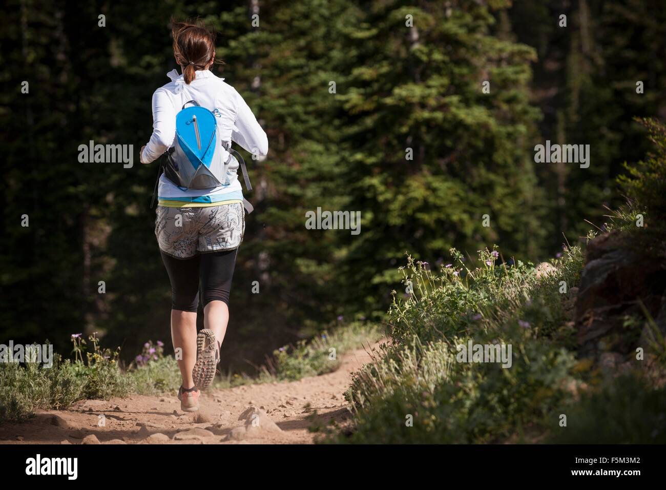 Runner on Bloods Lake trail near Guardsman Pass, Wasatch Mountains, Utah, USA Stock Photo