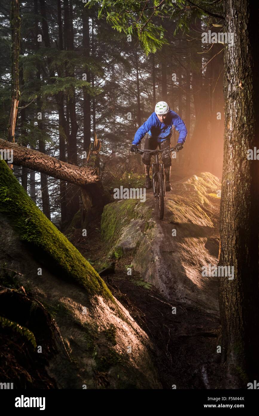 Young male mountain biker riding over forest boulders Stock Photo