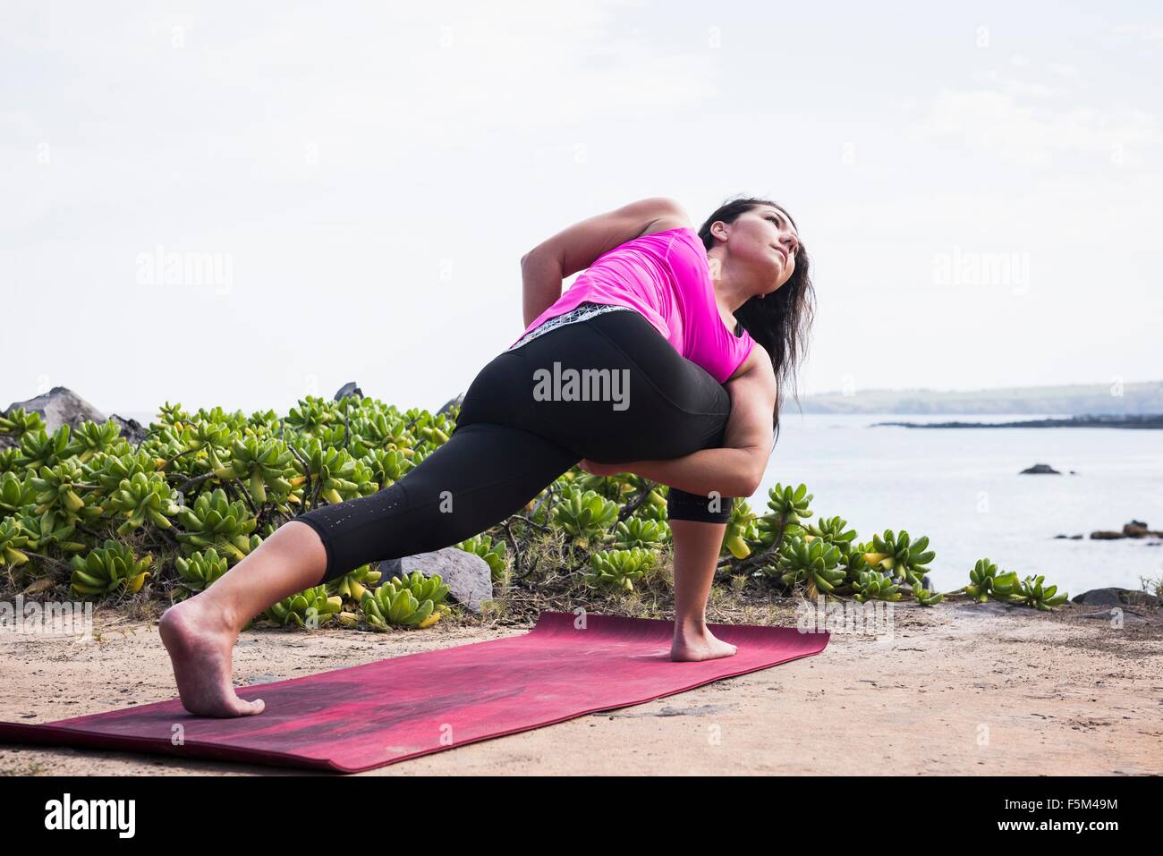 Yoga Moves Hawaii Yoga Moves Hawaii
