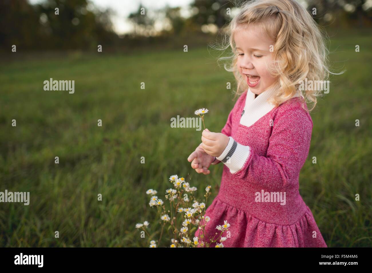 Girl wearing pink dress picking wildflowers in field Stock Photo