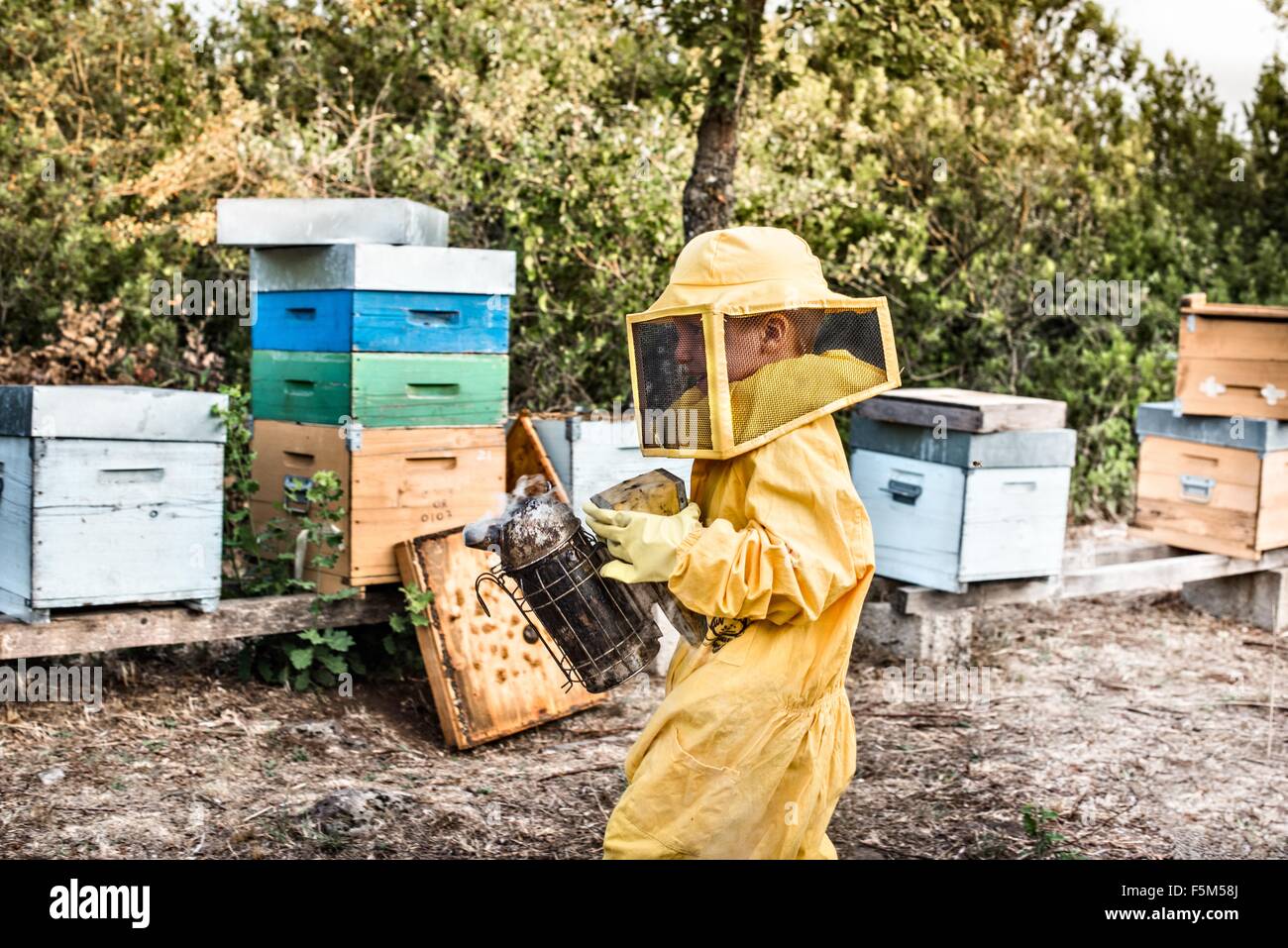 Young boy in beekeeper dress, holding bee smoker Stock Photo
