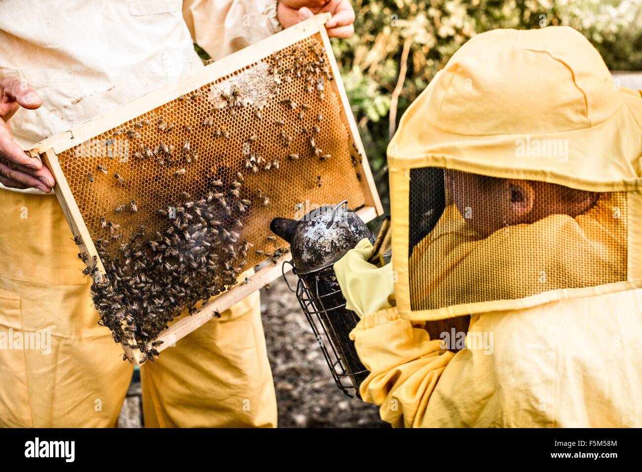 Young boy in beekeeper dress, using bee smoker Stock Photo