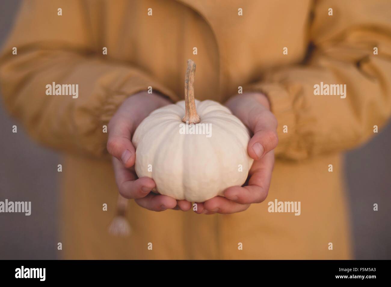 Young girl holding small pumpkin, mid section Stock Photo