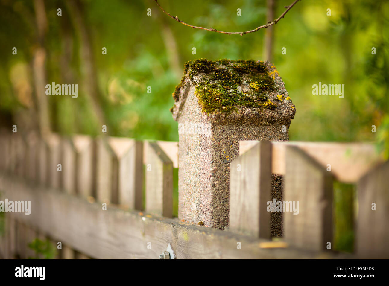 Stone fence and blurred forest background Stock Photo - Alamy