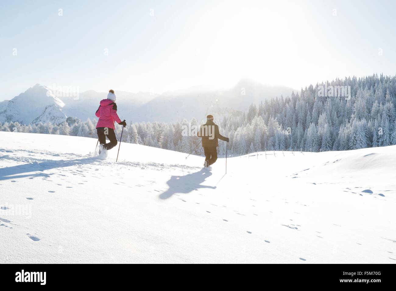 Woman walking snow rear view hat hi-res stock photography and images ...