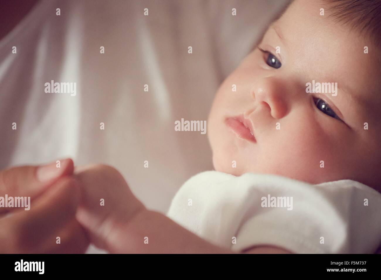 Mother holding baby's fingers Stock Photo
