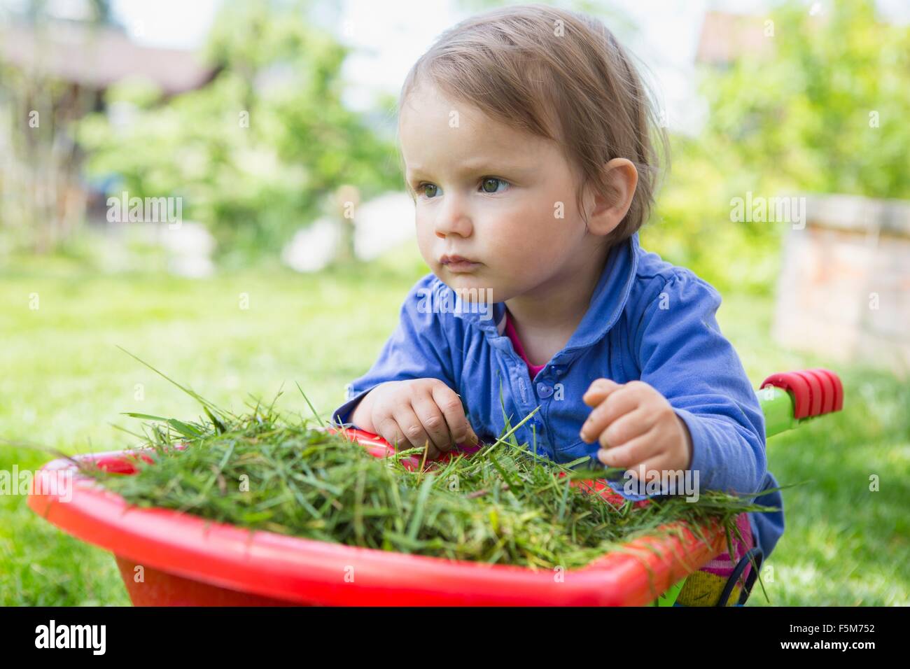Portrait of cute female toddler leaning on toy wheelbarrow in garden ...
