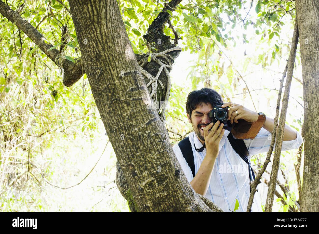 Mid adult man photographing from tree, Zambia Stock Photo