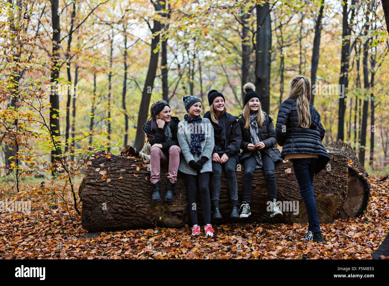 Girls sitting in the forest hi-res stock photography and images - Alamy