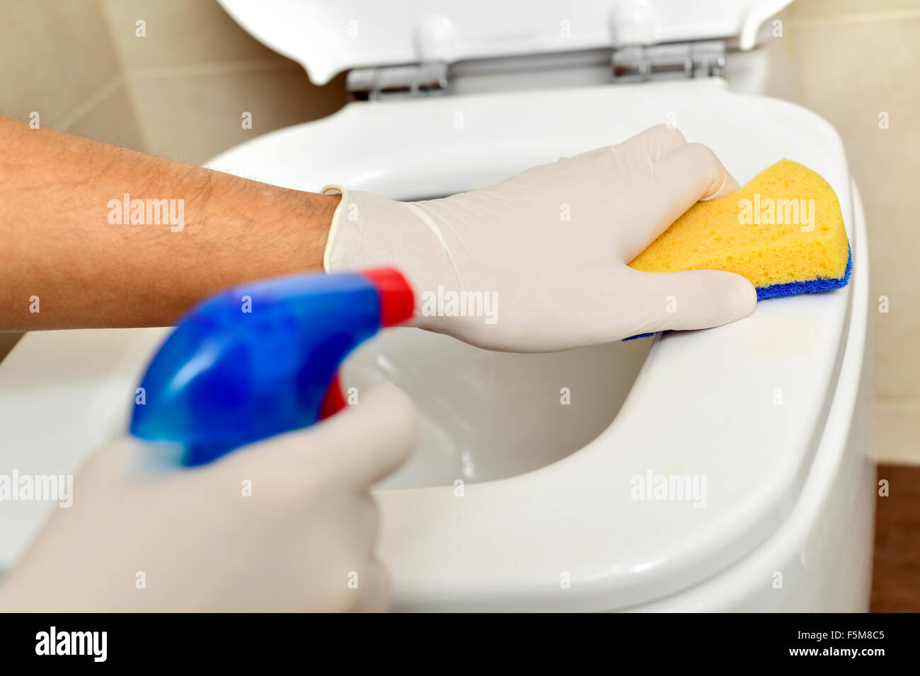 Person cleaning the toilet hires stock photography and images Alamy