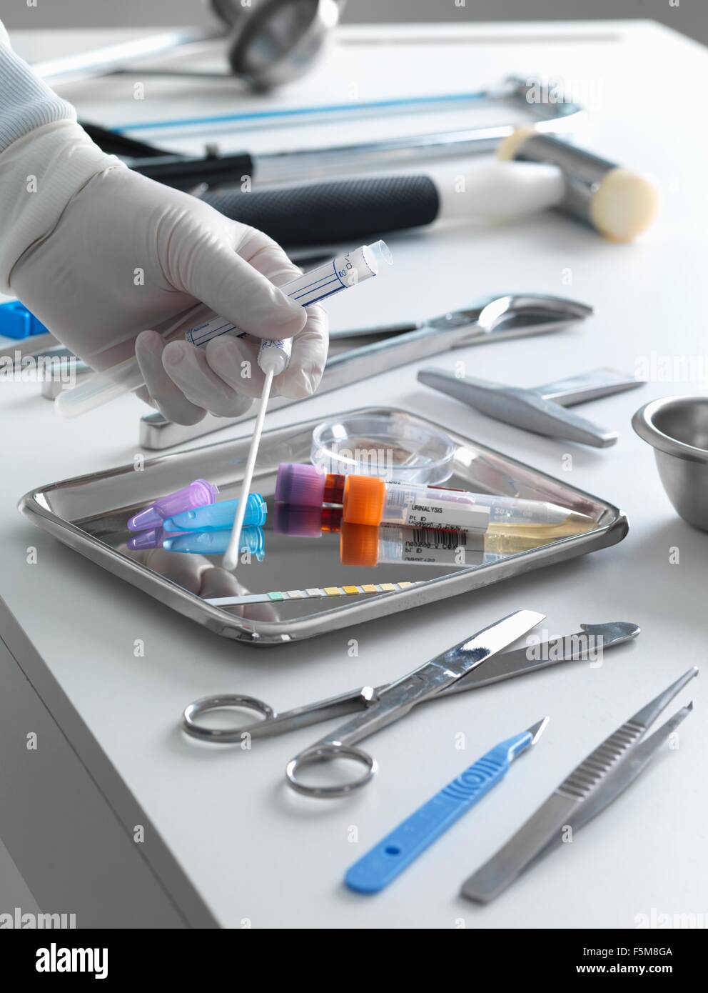 Pathologist taking a DNA sample for analysis during a autopsy Stock Photo