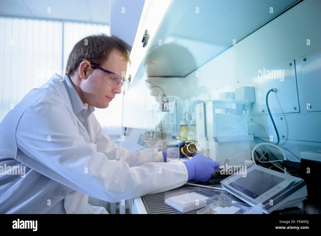 Scientist weighing chemicals in fume cupboard in testing laboratory Stock Photo