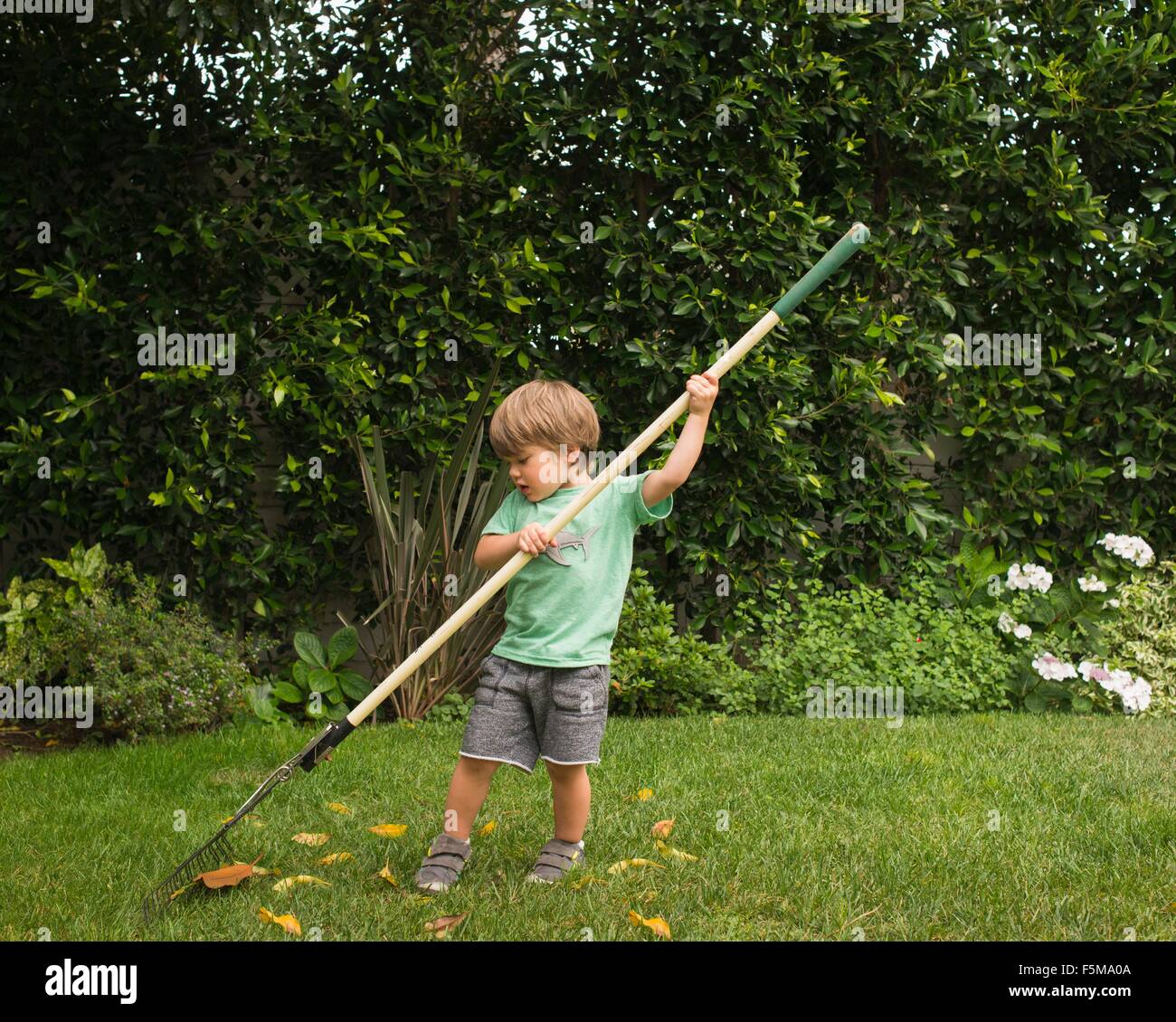 Young boy raking leaves in garden Stock Photo
