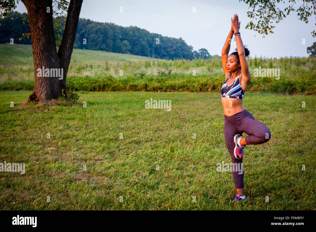 Young woman practicing yoga tree pose in rural park Stock Photo - Alamy