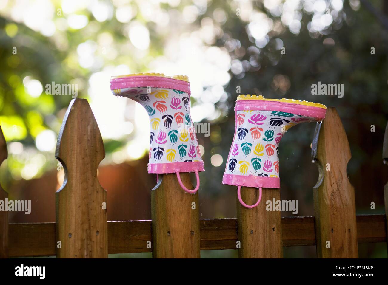 Rubber boots, upturned, on wooden fence posts Stock Photo Alamy