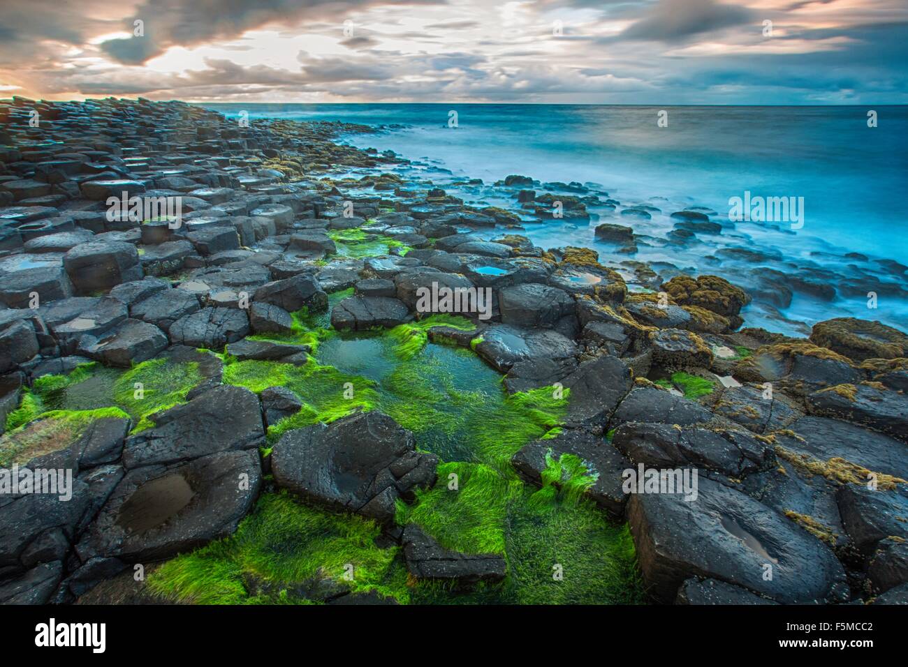 High angle view of moss covered Giants Causeway and blue ocean, Bushmills, County Antrim, Ireland, UK Stock Photo