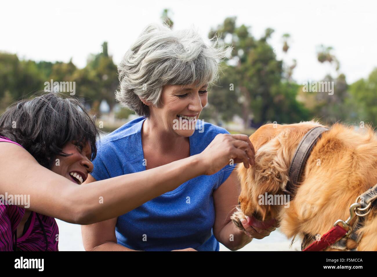 Two mature female friends, petting dog, outdoors Stock Photo