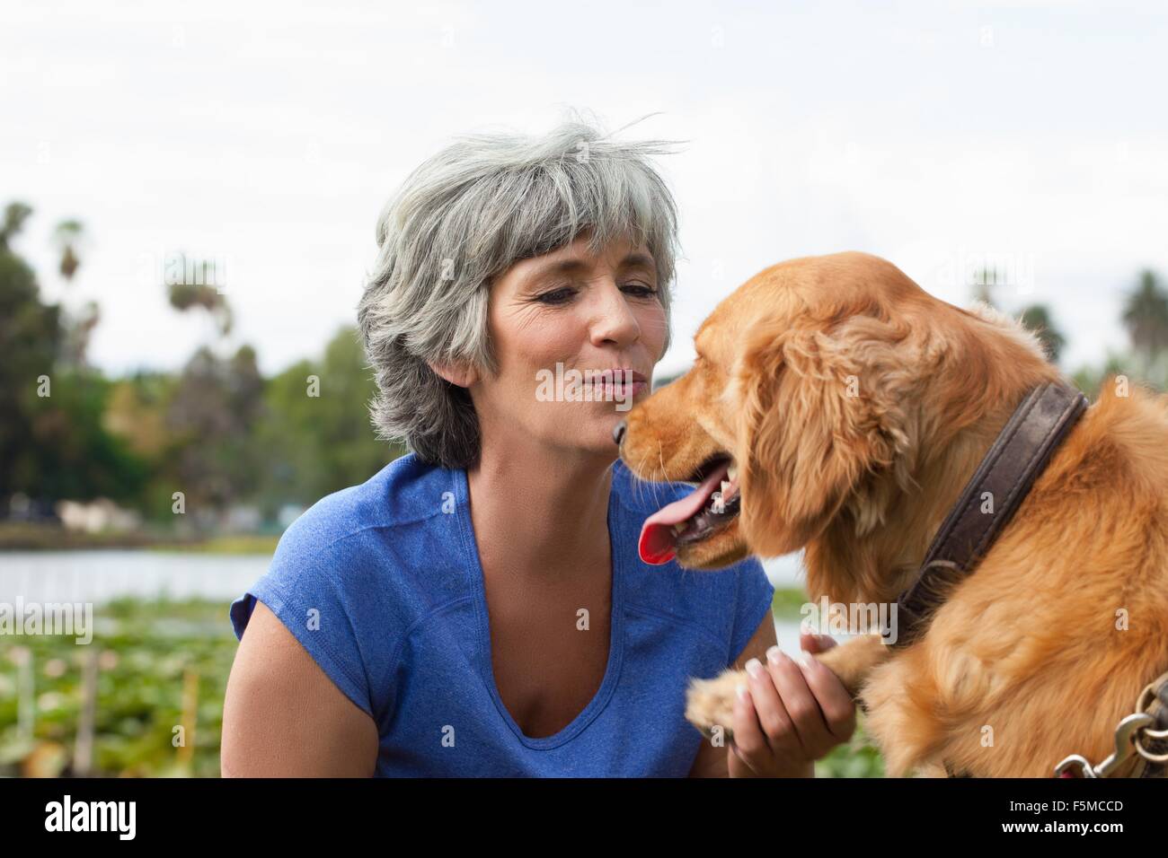Mature woman petting dog, outdoors Stock Photo