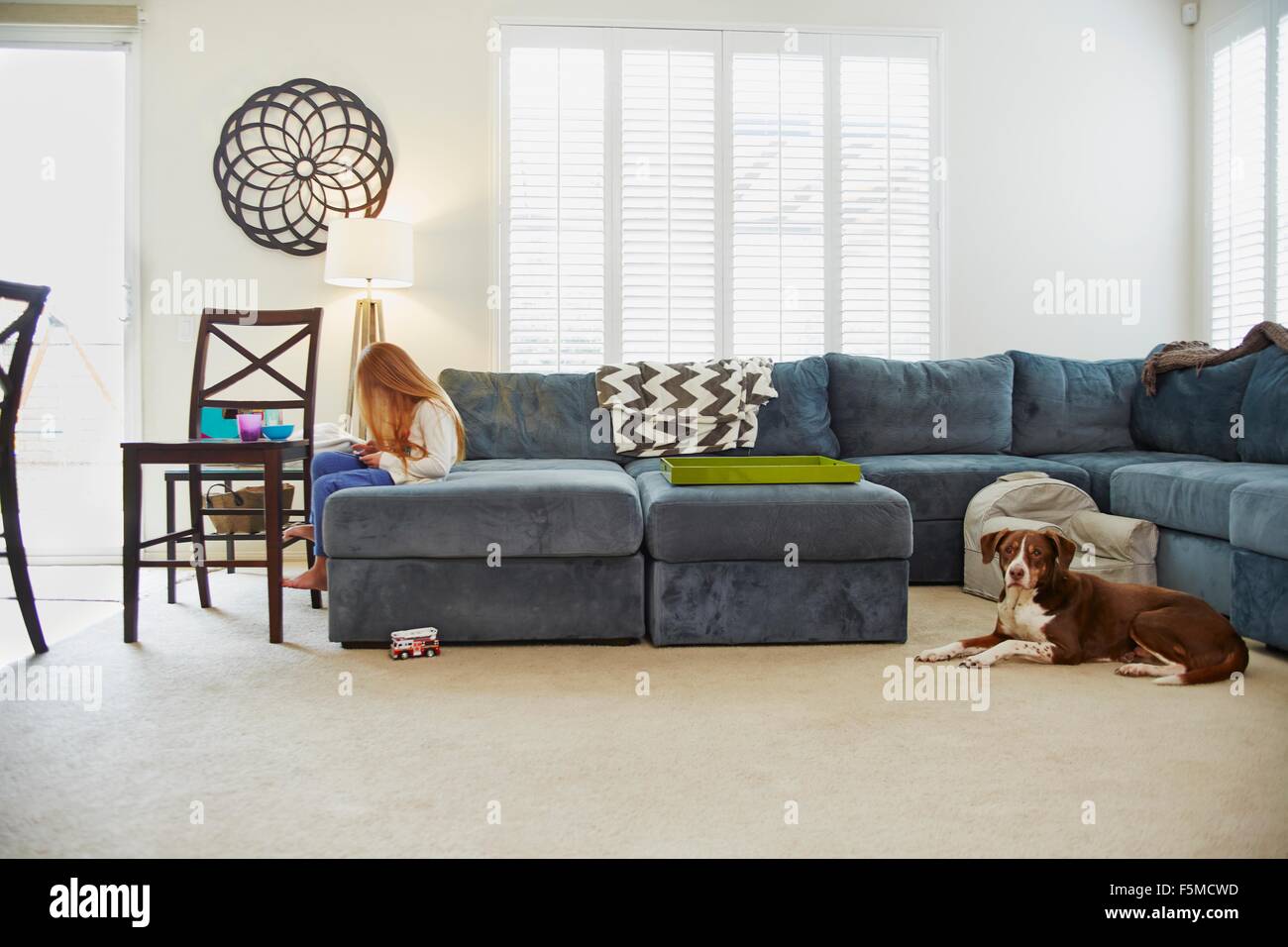 Girl using digital tablet on sofa in living room, dog behind her Stock Photo